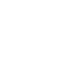 Lite Coin